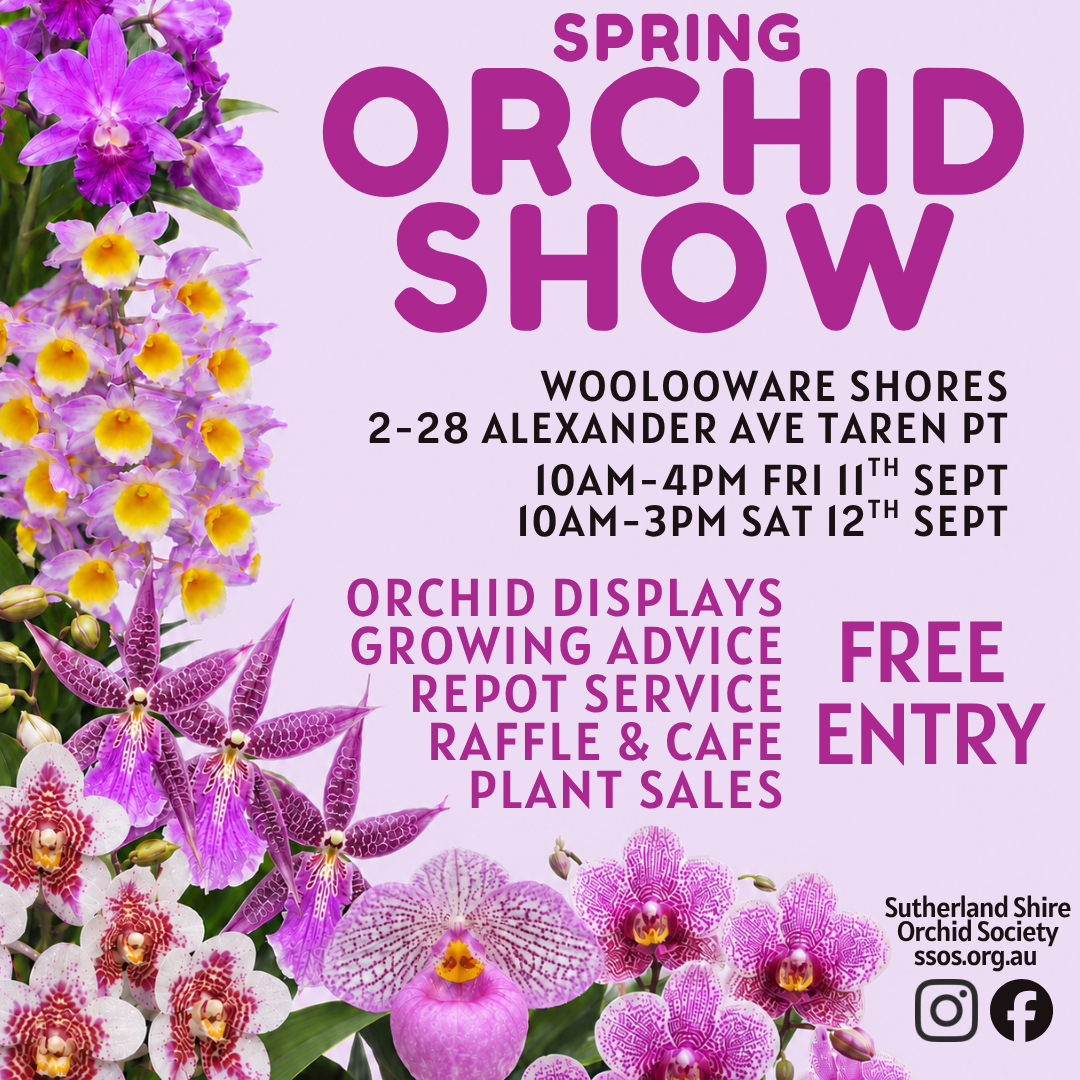 SSOS 2026 Spring Show